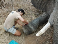 Keith gets to work to try and remove the snare.